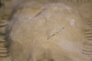Lentil Wellington Hand Pie