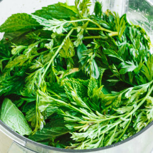 Carrot Top Pesto