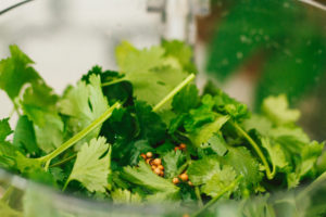 Green Poblano Sauce