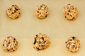 Breakfast Cookies